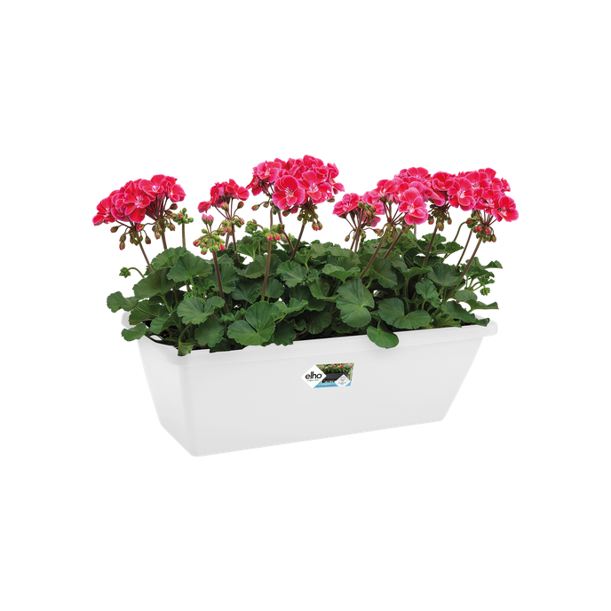 barcelona balkonkasten 50cm weiss